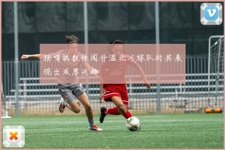 杨鸣执教传闻升温北方球队对其表现出浓厚兴趣